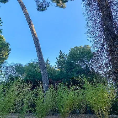 Recent, Plages A Pied, 3 Chambres, 95 M2, Jardin Et Parking